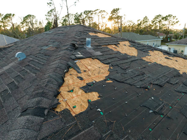 Best Skylight Installation and Repair  in Willcox, AZ