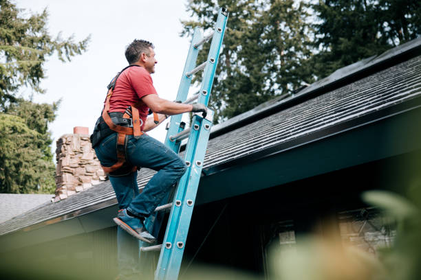 Best Metal Roofing Installation  in Willcox, AZ